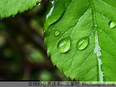 越品越有味