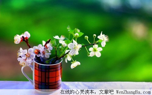 当你迷茫的时候，会为你指明方向