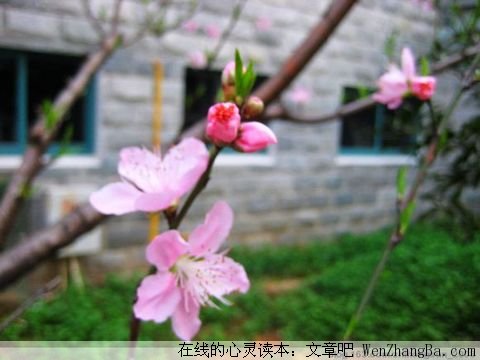 别再放大痛苦