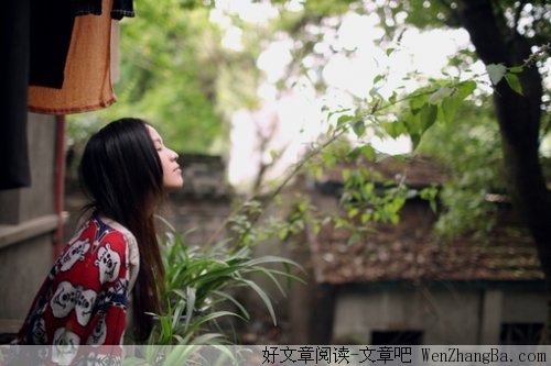 山中的泉