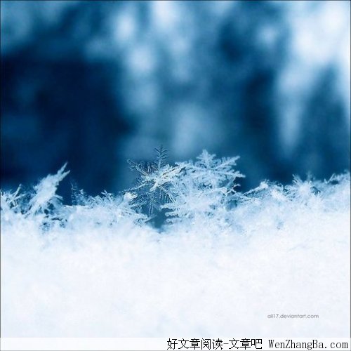 最后一个笑话
