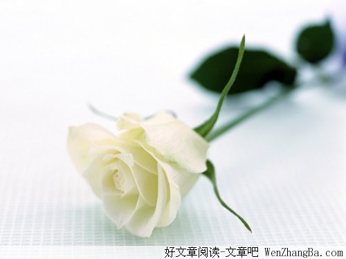 宁愿缺失不要错爱