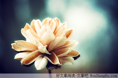 那些记忆只是你刻意的记起