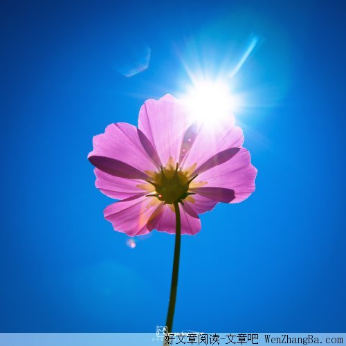 亲近阳光