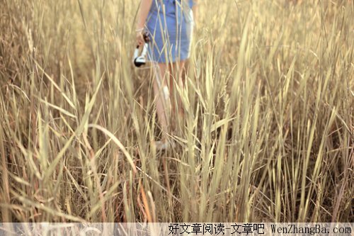 规则的创造