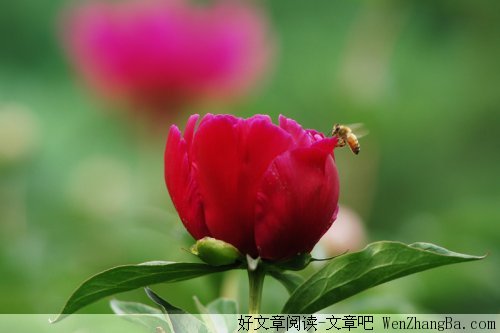 于喧嚣中寻找一份静谧