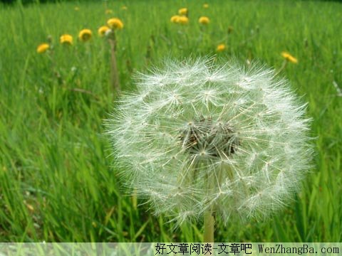 坦荡做人，真诚交友