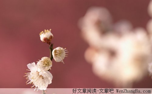 让感情发酵，品味独特时光