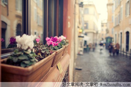 有的选，就够好了