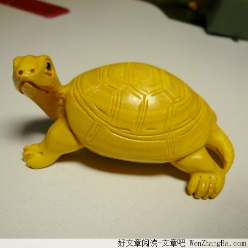 小事件大道理