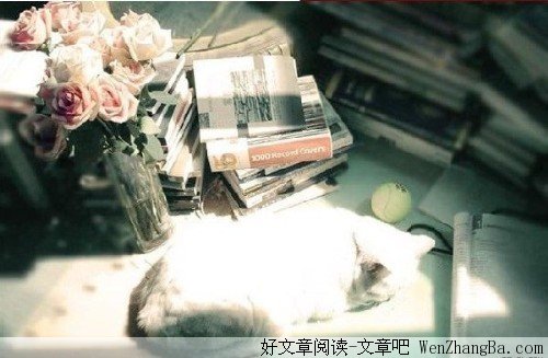 现代的安全感