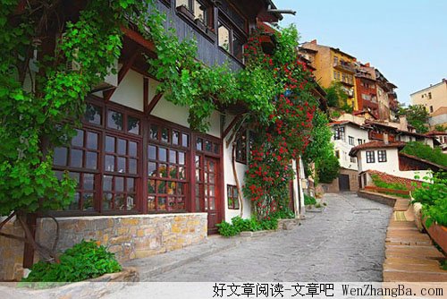 一朵花有多重