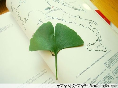 有时候,你必须放弃