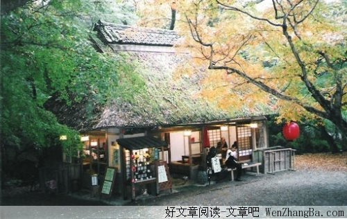 钢笔屋里的钢笔