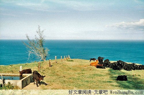 真正需要检讨的是生活