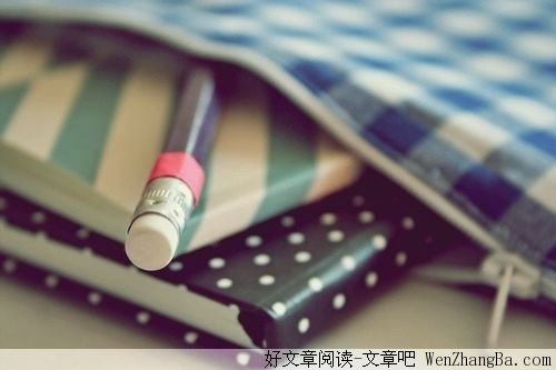 医生的日记