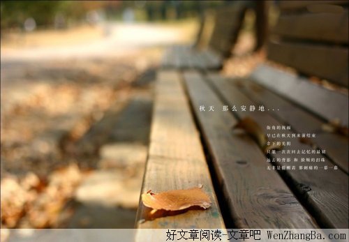 不问候不代表不想念