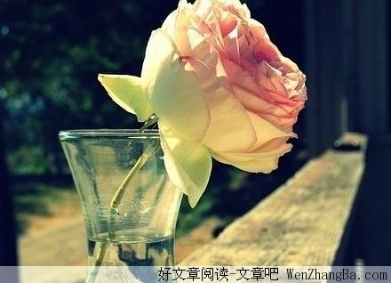见什么样的人要会说什么样的话