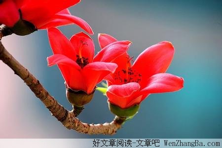 你应该知道的生存之道