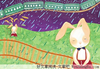 兔子的情书