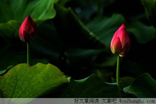 人这一生该怎么过