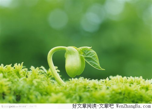 珍爱生命，让人生更有意义