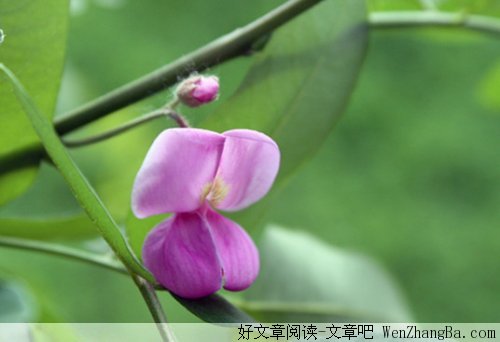 把对你的爱埋在心底