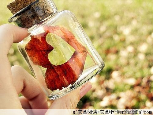 爱你，心始终不悔