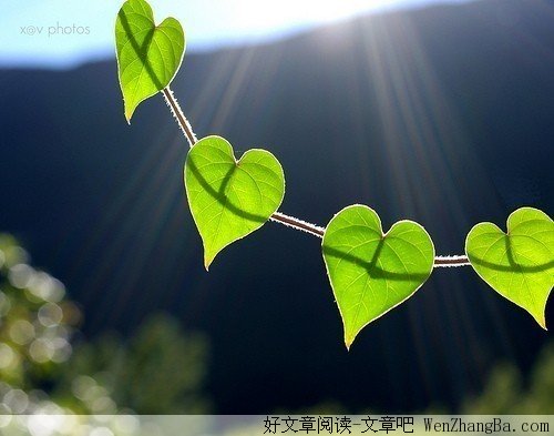何苦要生气