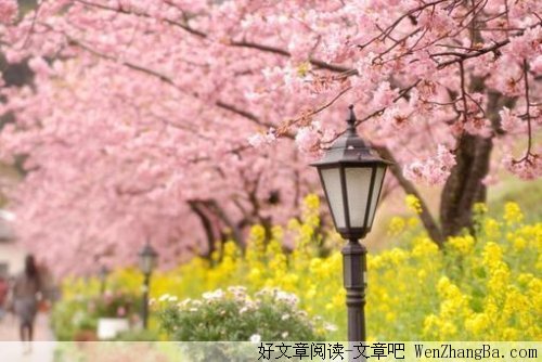 爱，在什么时候？