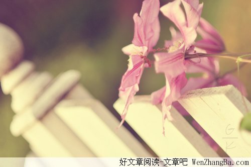 一个人也可以很精彩
