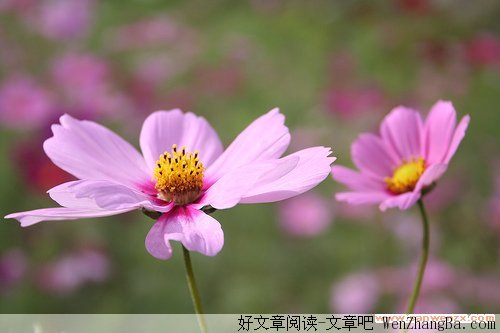 风雨之后，你将看到彩虹