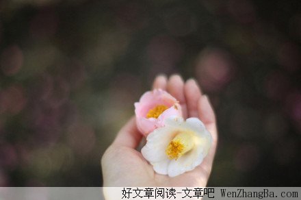 当你正在爱情路上时,记住这些话吧!