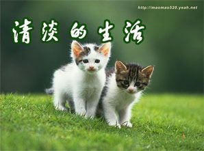 平淡的心