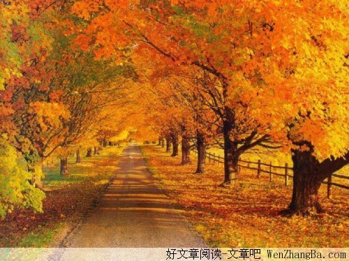 细品秋天，精读男人