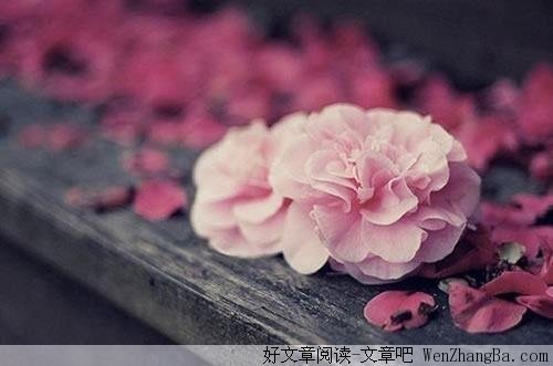 缺少了哪一个都不再完整