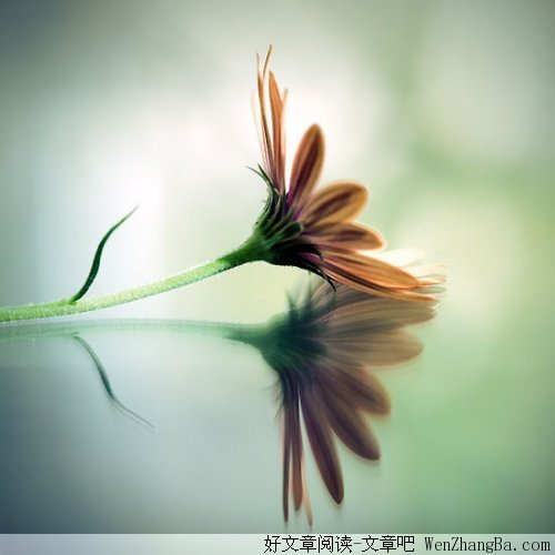 把心放开，面对生活