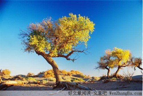 用微笑忘记伤痛