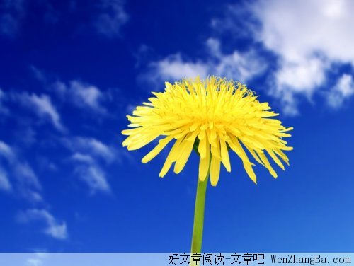 从别人身上看到自己的影子