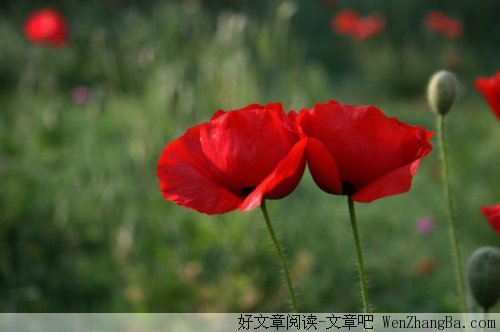 思念是一种煎熬