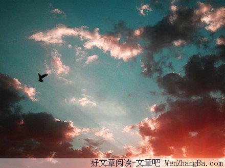 人生需要你自己来定