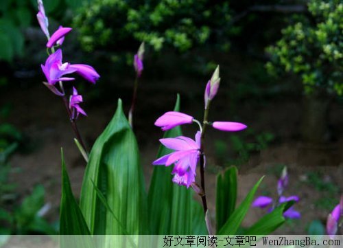 这就是快乐的秘密