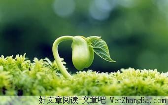 好好的活着