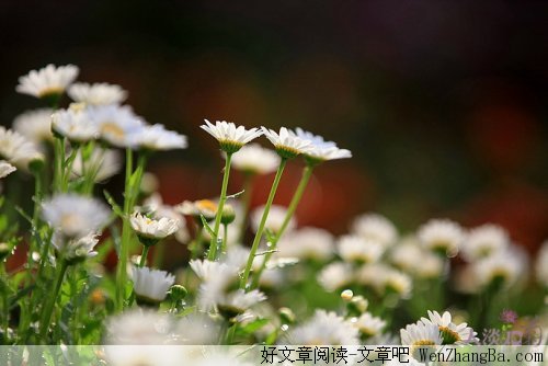 我们失去了什么
