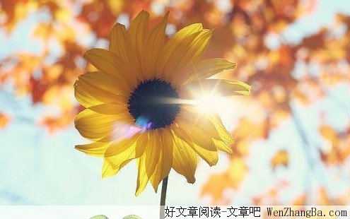 等知道的时候已经晚了