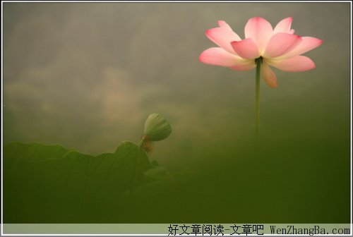 人一生中会遇到的事情