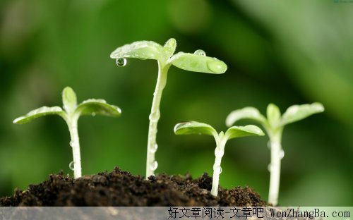 改变不了就去适应