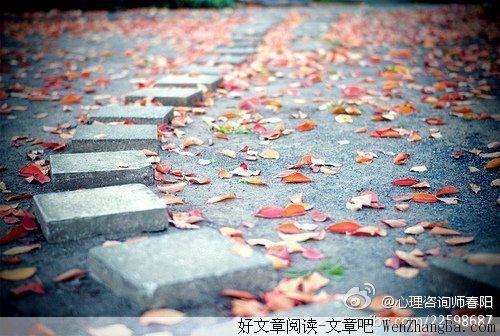 注定的路，不妨坦然相对