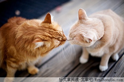 结婚之后我们都变了