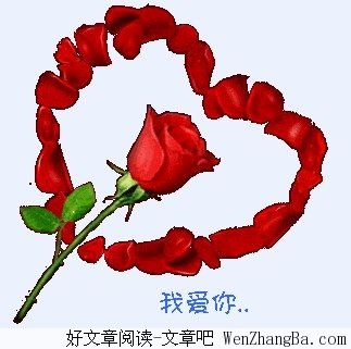 悲凉的爱